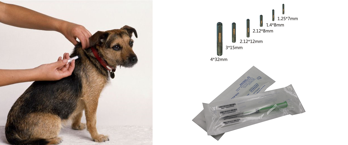 RFID Animal Management