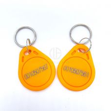 Logo Printed Access Control Plastic ABS RFID Keyfob