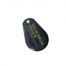 Customize PVC Epoxy RFID Key Tag